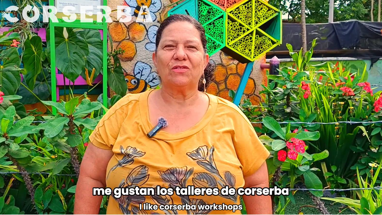Historia de Aura